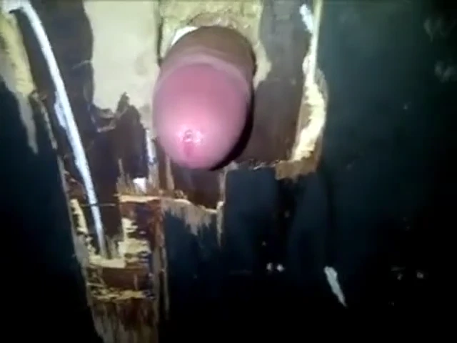 Public toilet slut : baise rapide et sale